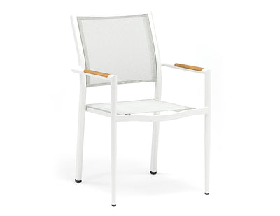 Polo Dining Arm Chair - Gray