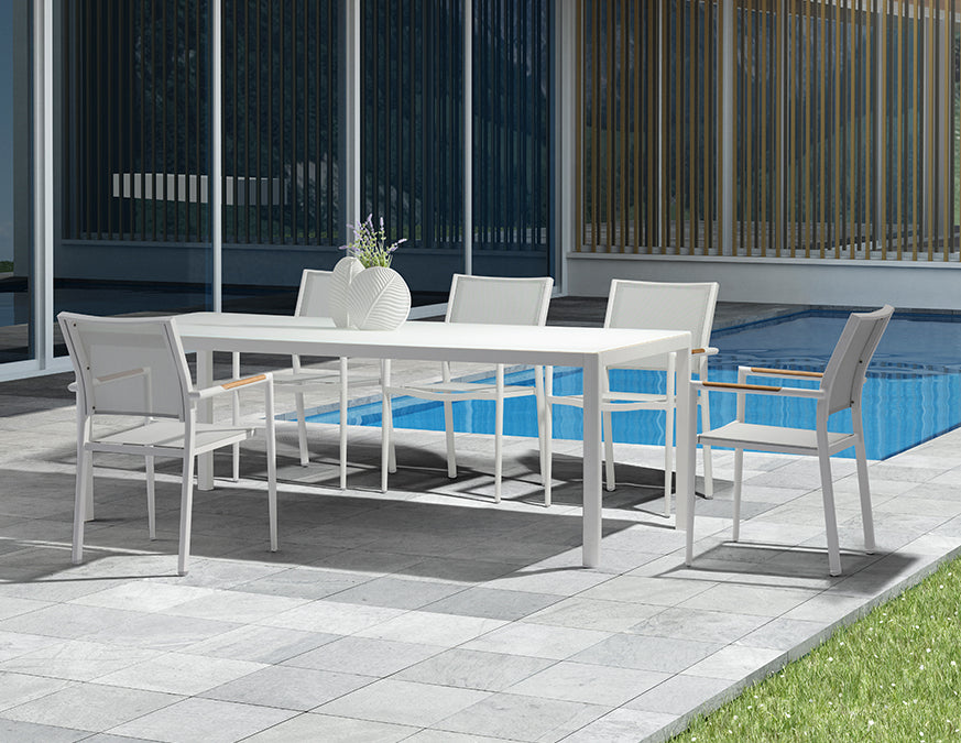 Polo Dining Arm Chair - White