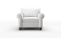 Alamo Chair - Catalina Ivory - Chair - - Greathouse