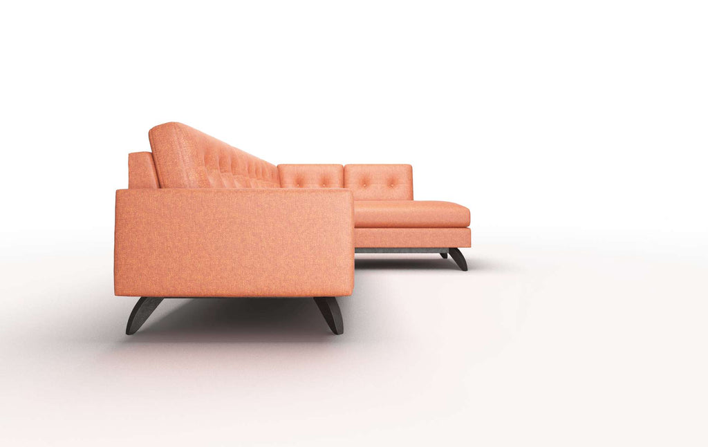 Muse Panel - Notion Tang