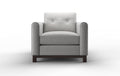 Rochester Chair - Catalina Silver
